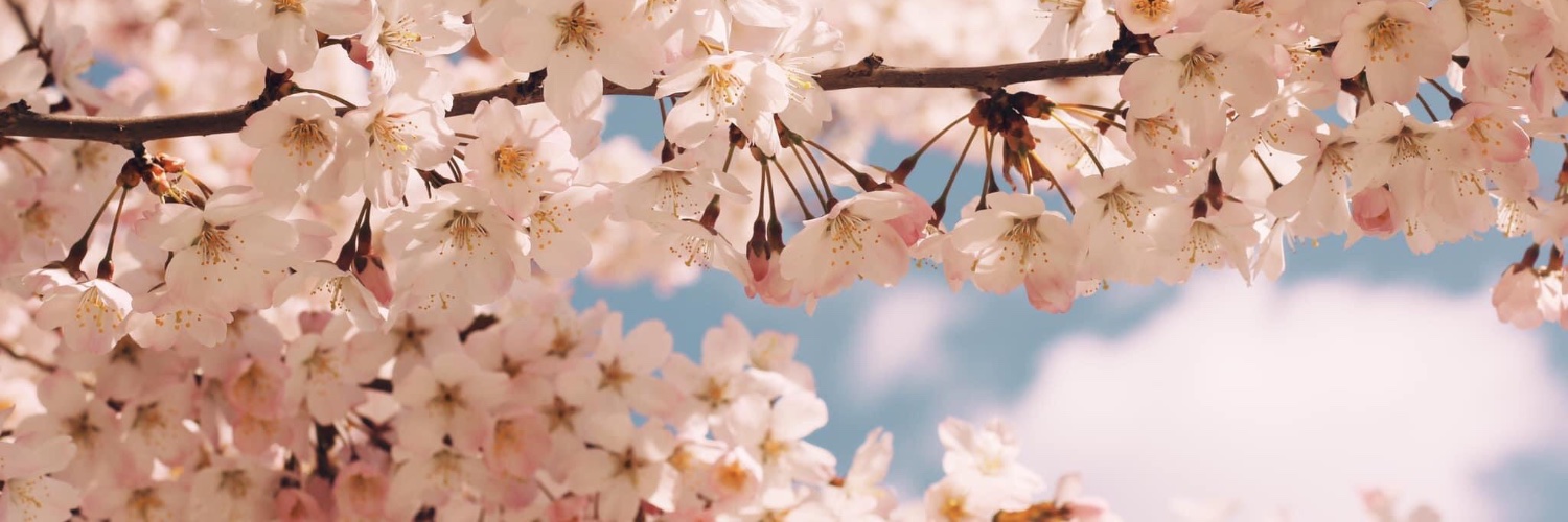 callmecayna's profile banner image
