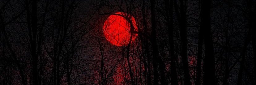 🇯🇲Random🇯🇲🍆💦 banner