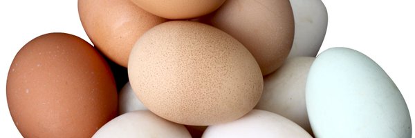 Hashtagie_ Profile Banner