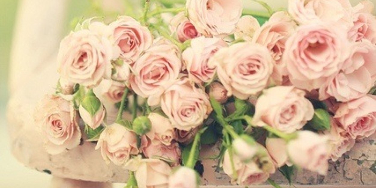 lesNova banner