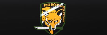 DiamondD0gFox's profile banner image