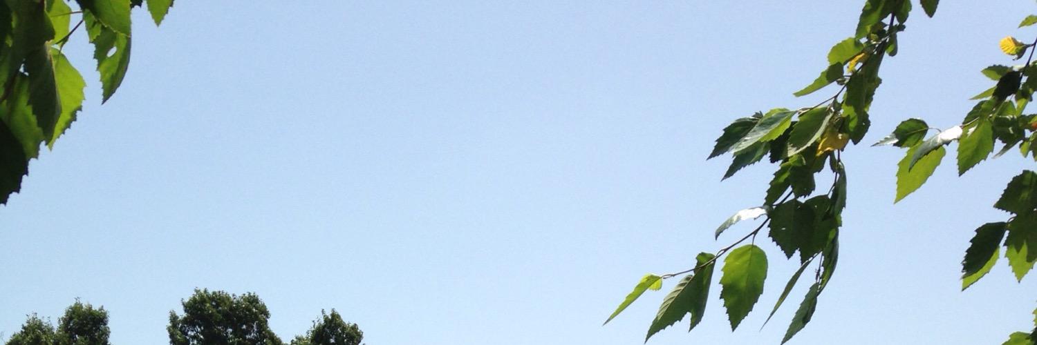 Sharpspawn's profile banner image