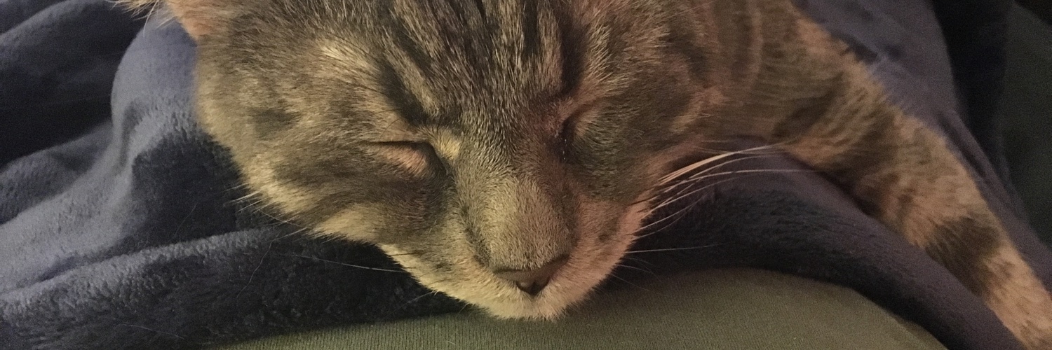deviously_me's profile banner image
