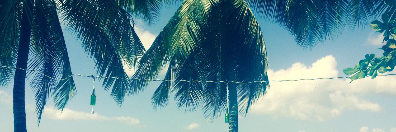 dabbou's profile banner image