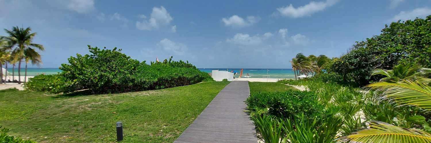 Pablo García Ysais banner