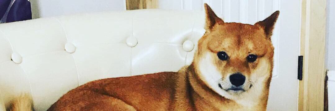 jibjules's profile banner image