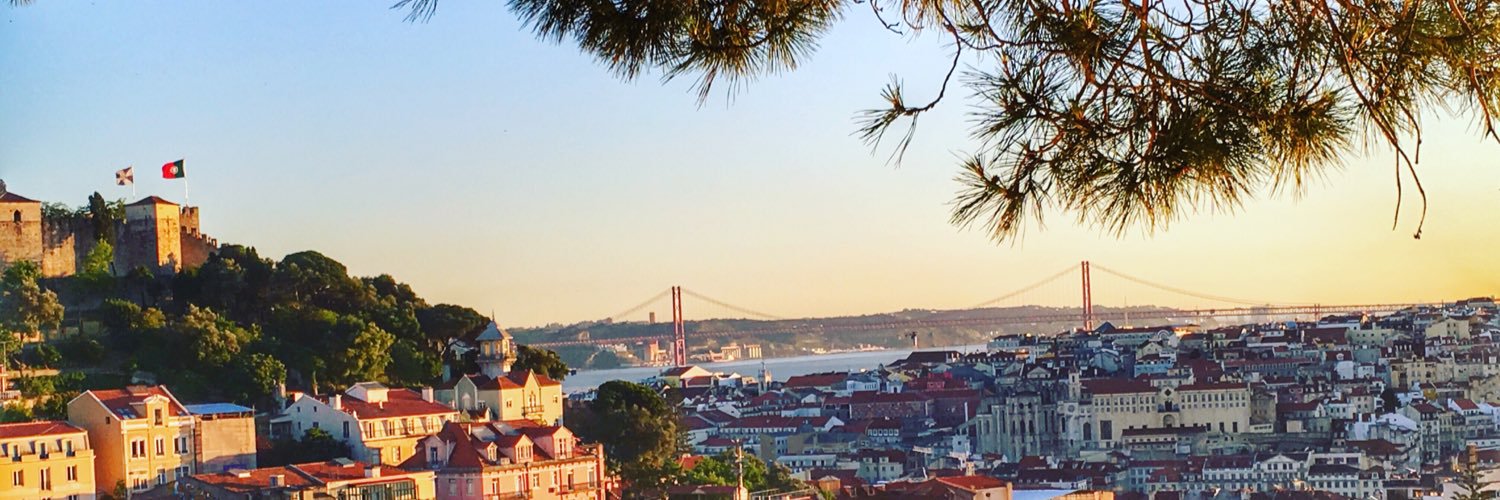 Marina Ferraz banner