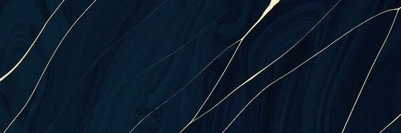 sofiavalenzu's profile banner image