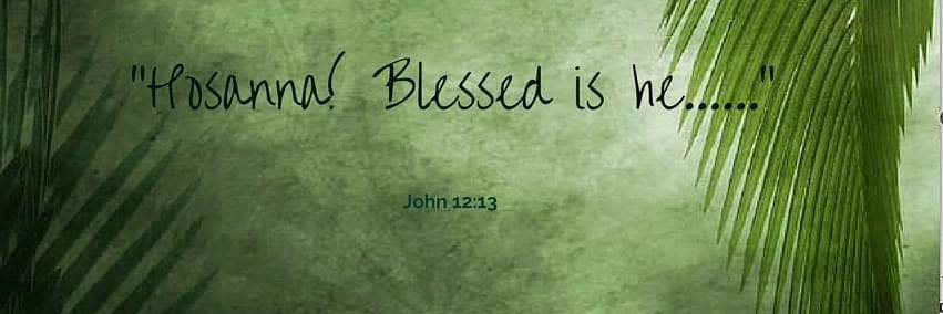 shellydurkee's profile banner image