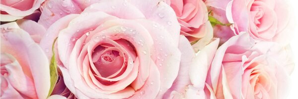 ChristaAllen Profile Banner