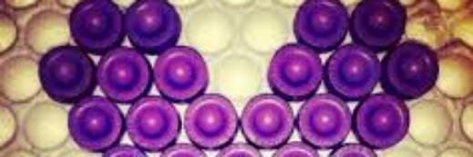 ElbaYnfante's profile banner image