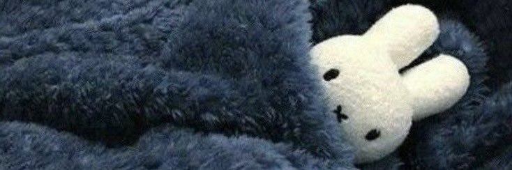 camilasmoon's profile banner image