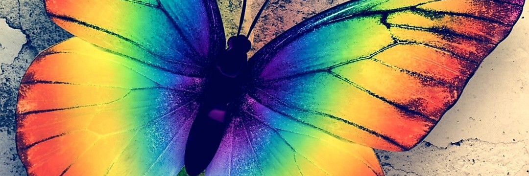 Alina.L🏳️‍🌈 banner