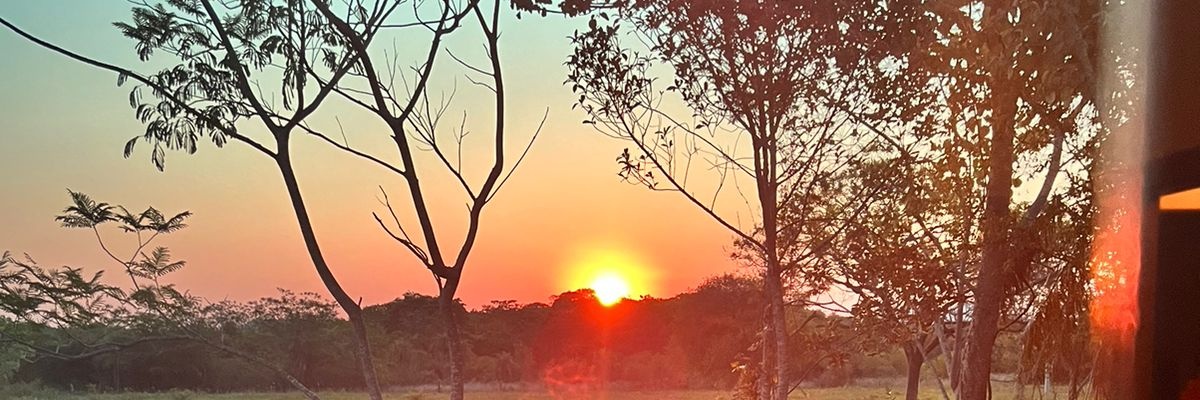 Leticcamacho's profile banner image