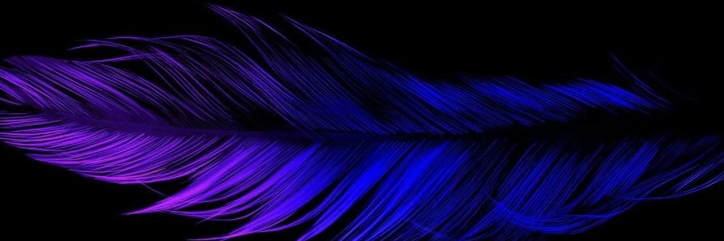 Ari Vences's banner