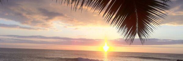 BonnieSCha Profile Banner
