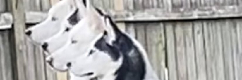 uhohitzgeronimo's profile banner image