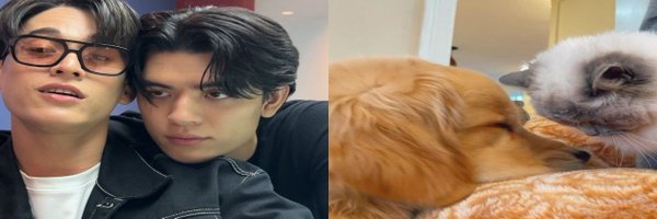 defyingforetold Profile Banner