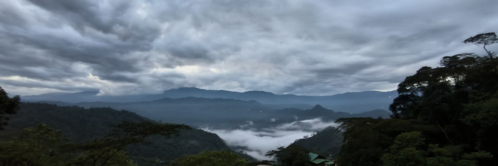 naturoca_'s profile banner image