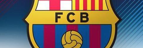 Nelson Castro banner