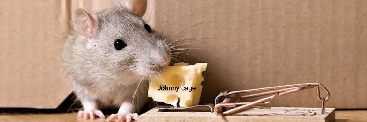 Rattt🐀🇻🇳's banner