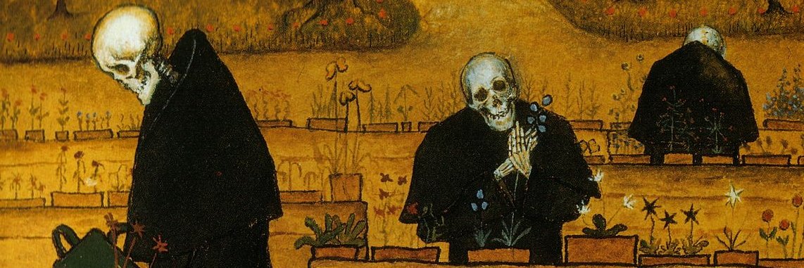 Crystal Mora 🌵💀🎮 banner