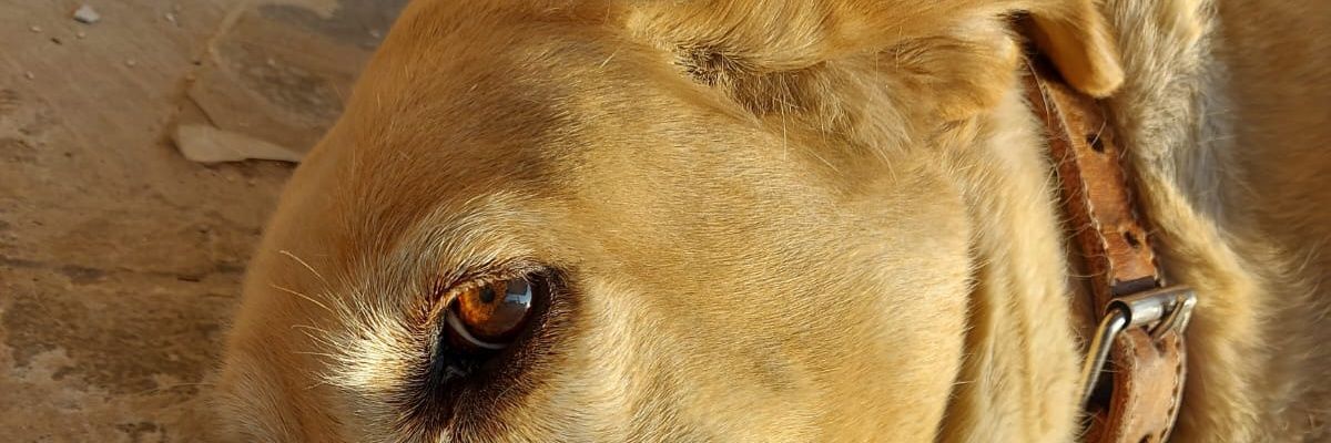 ecsonGarcia's profile banner image