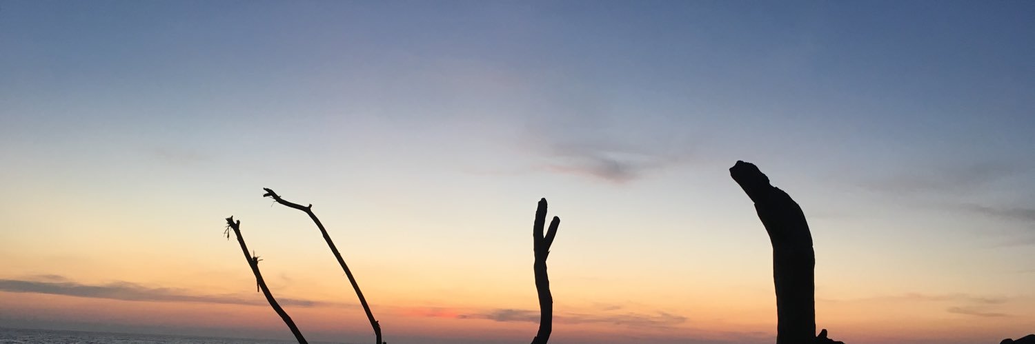sbeltrantoto's profile banner image