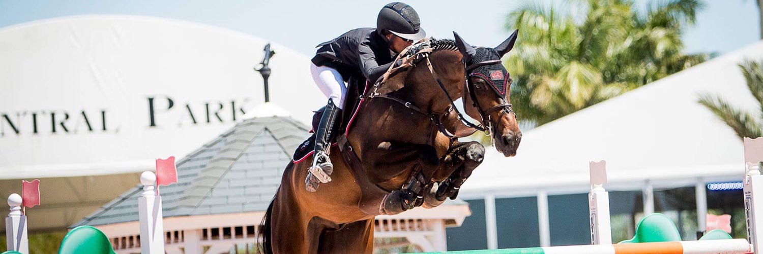 Mavis Spencer banner