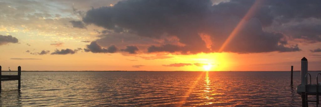 CassidyKruse's profile banner image