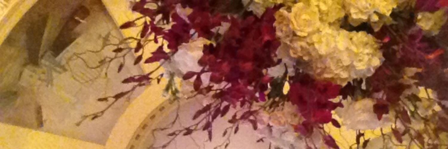 MaddyMinter's profile banner image