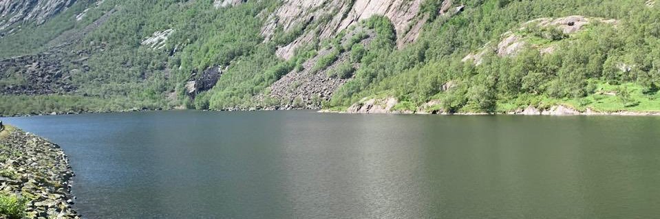 Olga Pivaral de Pizzillo banner