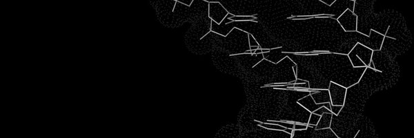 anshtdn Profile Banner