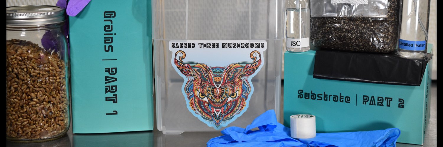 Sacred Three Mushrooms banner
