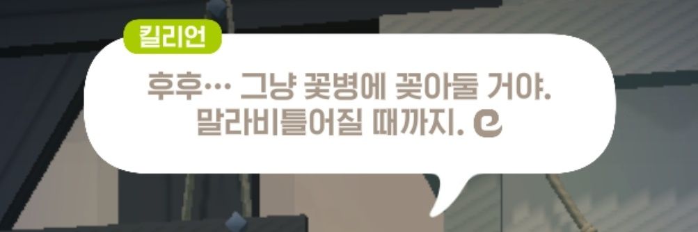 번견 banner