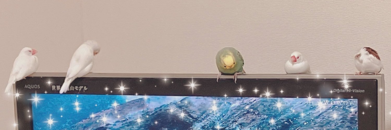 ひな子's banner