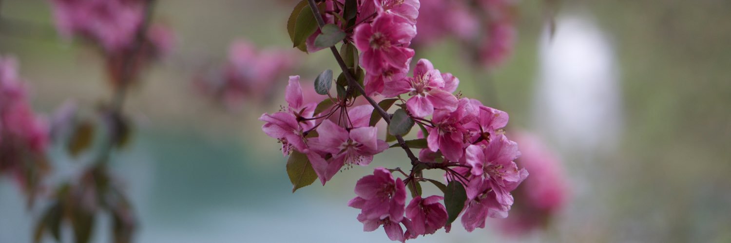 demall665's profile banner image