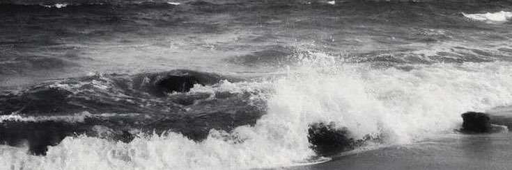lizzie. banner