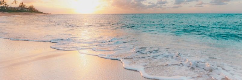 SunsetSeaStar's profile banner image