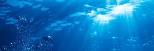 Trance9876's profile banner image