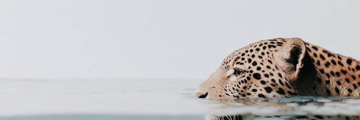 __duttyluv's profile banner image