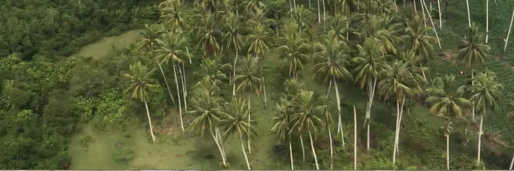 tamisyrf's profile banner image