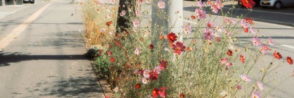 blaancjasmin Profile Banner