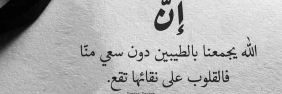 🕊️رغوده🕊️'s banner
