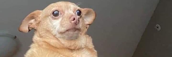 Toca cuando te toca 🎚️ banner