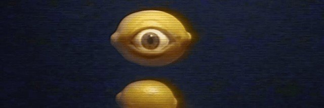 LillyLillylooo's profile banner image