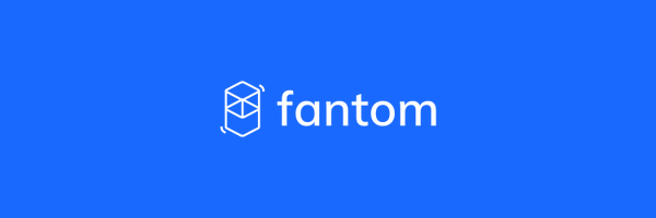FantomFDN Profile Banner