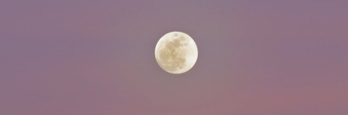 jacqui_brown's profile banner image
