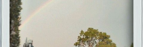 Larukan's profile banner image
