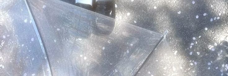 as$h0l3 /⁠ᐠ⁠｡⁠ꞈ⁠｡⁠ᐟ⁠\ banner